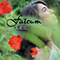 CD Tarawin